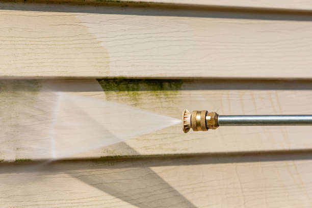 Best Affordable Pressure Washing  in Branchville, SC